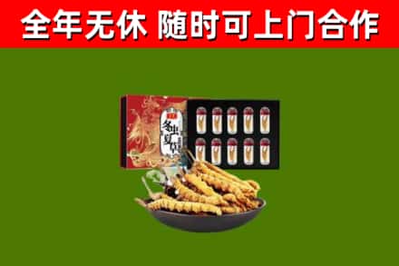 南丰烟酒回收冬虫夏草礼盒.jpg